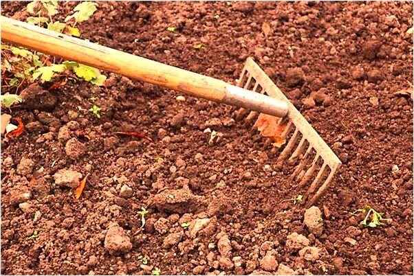 夢見算命和女朋友命中無子會是什麼預兆_周公解夢官網