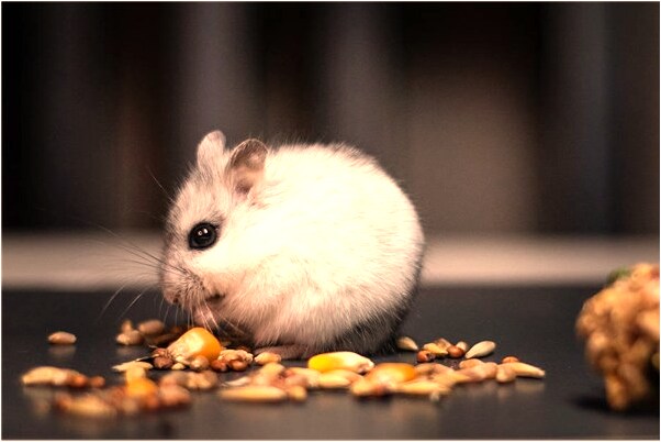 夢見硫酸腐蝕手指什麼寓意_周公解夢官網