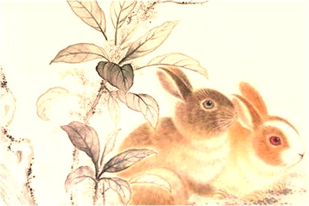 夢到兒子掉進水裡淹死了代表著什麼？_周公解夢官網