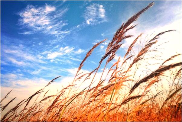 夢到看見很多錢預示著什麼_周公解夢官網