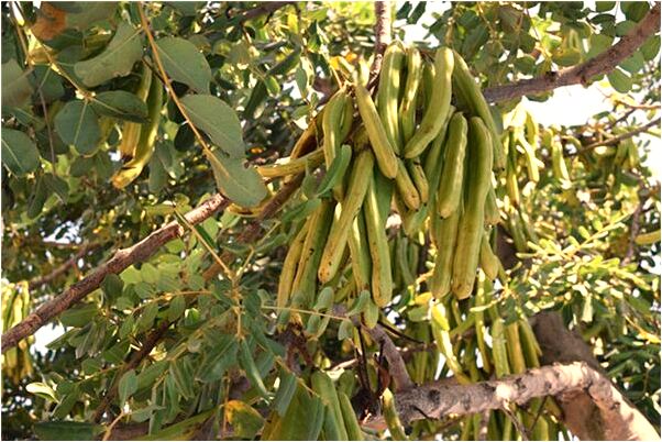 夢到了有後台代表什麼_周公解夢官網