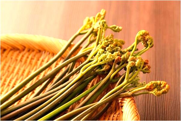 夢見愛人飛來飛去有什麼意思嗎_周公解夢官網