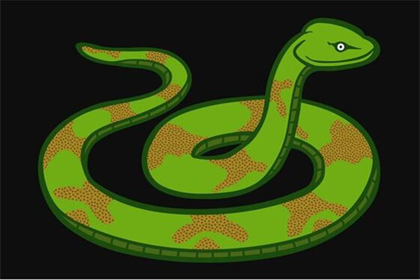 夢見全是蛇是什麼意思_周公解夢