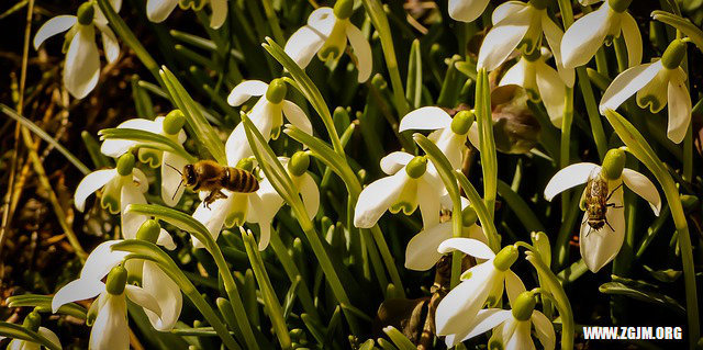 夢見與死去的人同車_周公解夢夢到與死去的人同車是什麼意思_做夢夢見與死去的人同車好不好_周公解夢官網