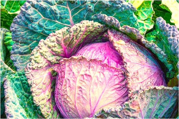 夢到了過節放禮炮是啥預兆_周公解夢官網