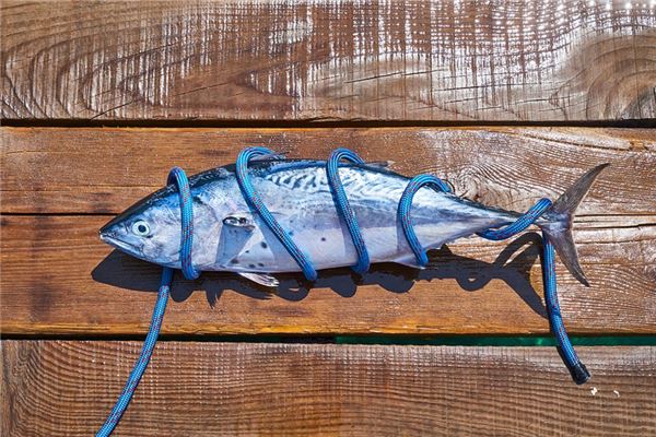 夢見死魚是擋災_周公解夢