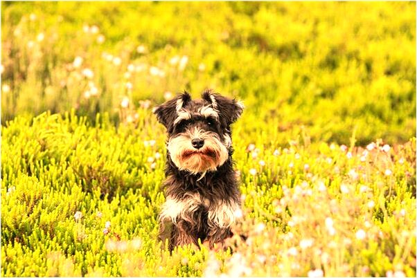 夢到了有人追著還錢是不是好的徵兆呢_周公解夢官網