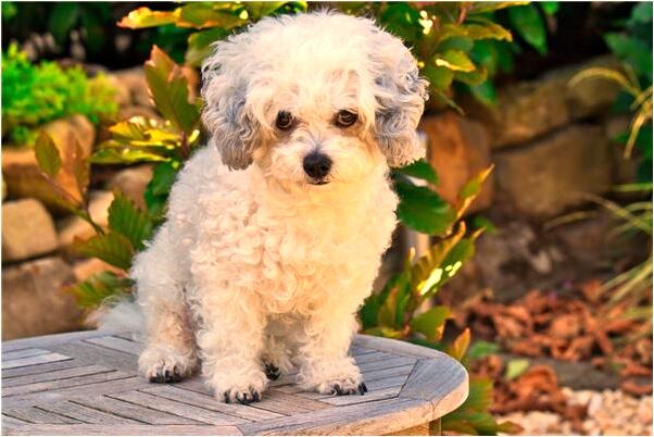 夢見相親我不喜歡對方有什麼意思_周公解夢官網