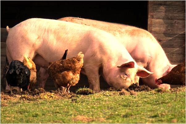 夢到了摸發小的預兆_周公解夢官網