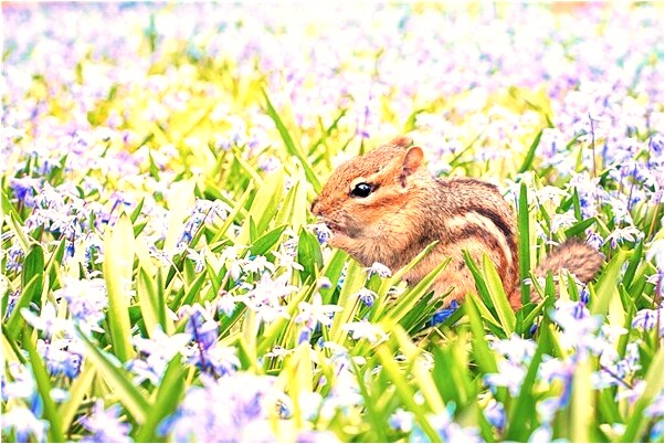 夢到了翻新房子是什麼啟示_周公解夢官網