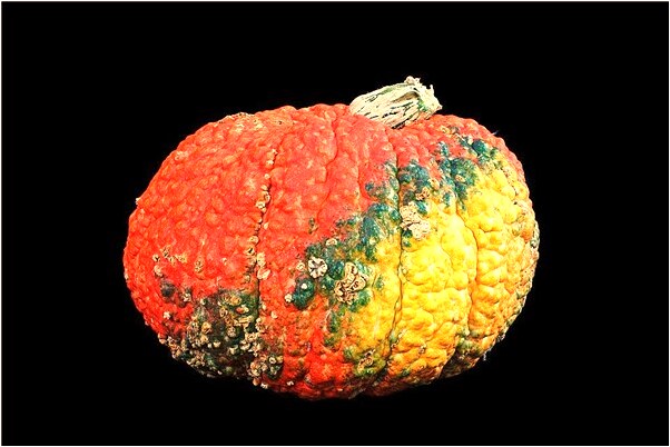 夢見被人瘙癢是不是好的徵兆呢_周公解夢官網