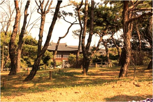 夢到了玉米堆是好事還是壞事_周公解夢官網