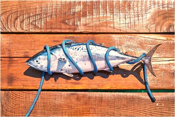 夢到杯子破了有什麼說法_周公解夢官網