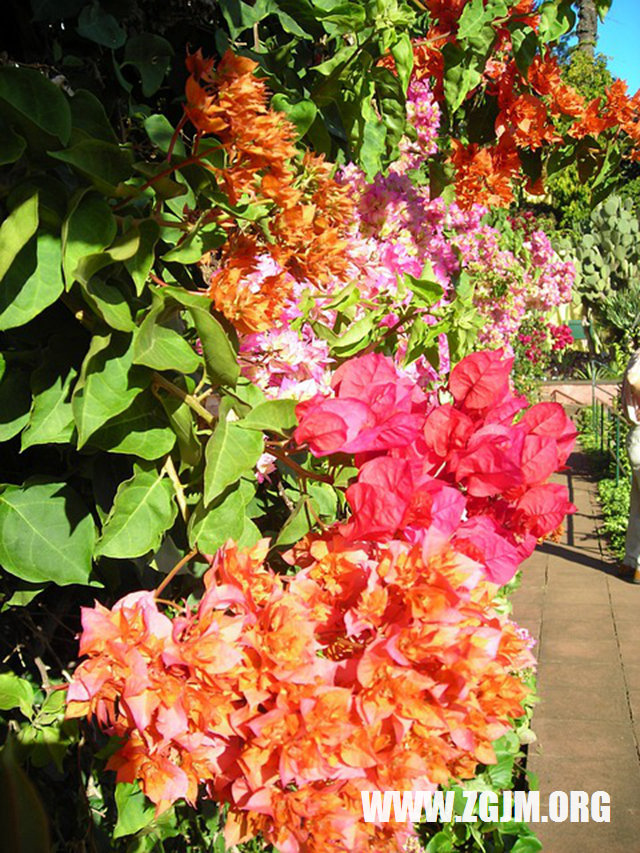 夢見杯子壞了_周公解夢夢到杯子壞了是什麼意思_做夢夢見杯子壞了好不好_周公解夢官網