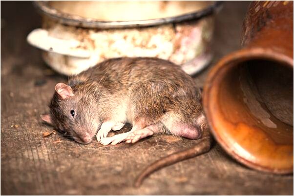 夢見別人抱這小孩站在我面前是好是壞_周公解夢官網