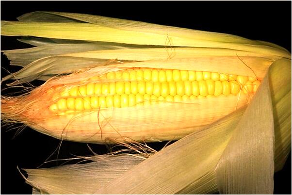 夢到了和喜歡的女人睡一張床是啥預兆_周公解夢官網