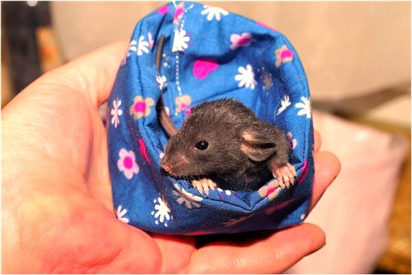 夢見別人給予老錢是什麼啟示_周公解夢官網