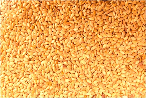 夢見中了大獎有什麼說法_周公解夢官網