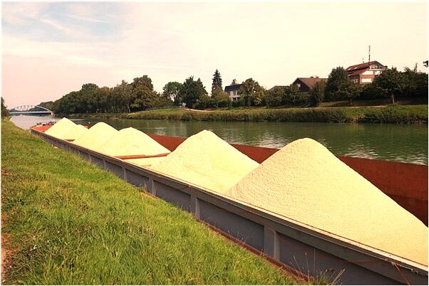 夢到士兵與朋友的妻子結婚代表什麼_周公解夢官網