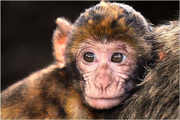 夢到了能見自己把別人推下了樓是什麼徵兆_周公解夢官網