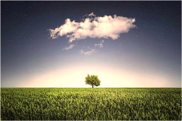 夢見牆壁里有三個死人有什麼意思嗎_周公解夢官網