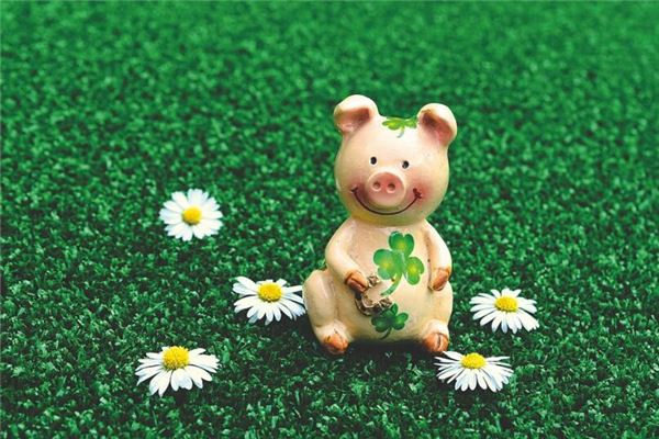 夢見豬被殺是什麼意思_周公解夢