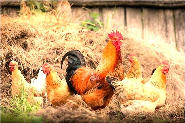 夢到我哭著喊媽媽可是沒理有什麼意義嗎_周公解夢官網