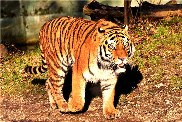 夢到客戶挑自己毛病是咋回事_周公解夢官網