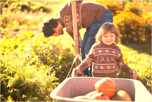 夢到了夢春天是凶兆還是吉兆_周公解夢官網