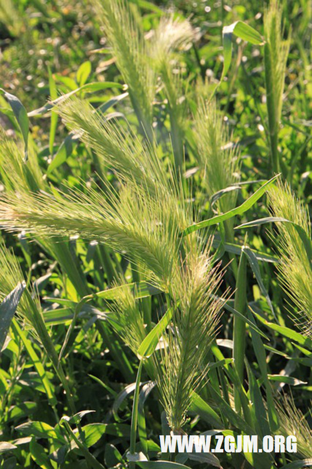 夢見咬自己的耳朵_周公解夢夢到咬自己的耳朵是什麼意思_做夢夢見咬自己的耳朵好不好_周公解夢官網