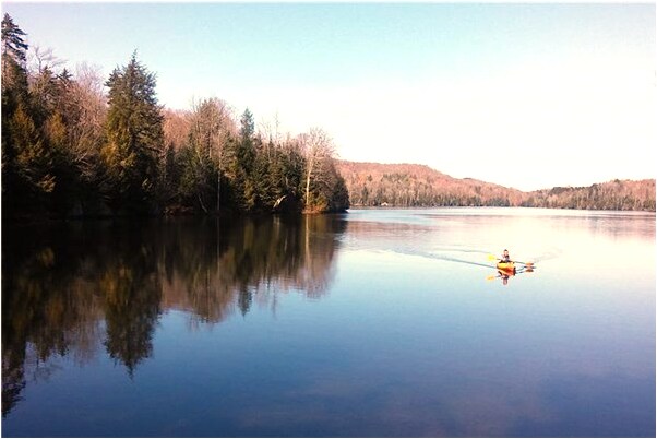 夢到一條大黃蛇咬了自己代表著什麼？_周公解夢官網