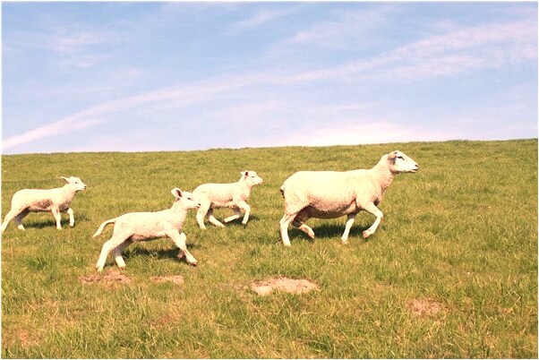 夢見同學相擁是什麼預兆？_周公解夢官網