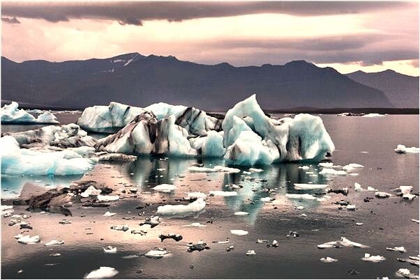 夢到公公在追牛是咋回事_周公解夢官網