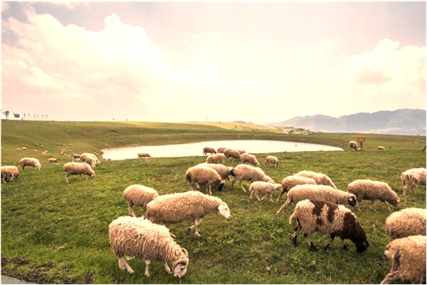 夢見穿白衣服騎白馬怎么說_周公解夢官網