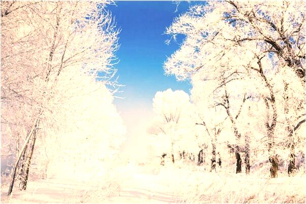 夢到自己去拜神有什麼含義_周公解夢官網