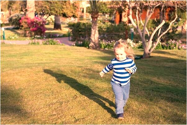 夢到了石榴樹上有蜘蛛預兆了什麼嗎_周公解夢官網