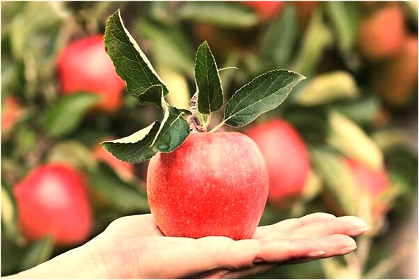 夢到了給小孩擦大便是什麼徵兆_周公解夢官網