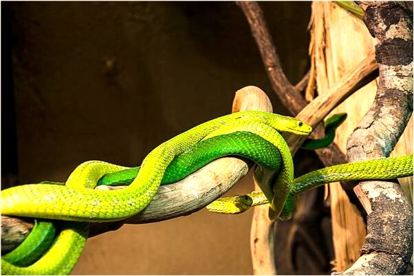 夢見契約會簽給自己是什麼意思？_周公解夢官網