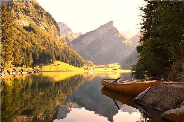 夢到別人剃我眉毛有什麼說法_周公解夢官網