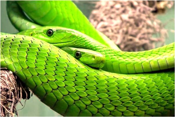 夢到廢墟中撿垃圾的人是什麼意思_周公解夢官網