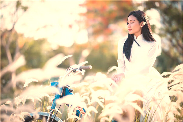 夢到偷人家雞蛋是什麼兆頭_周公解夢官網