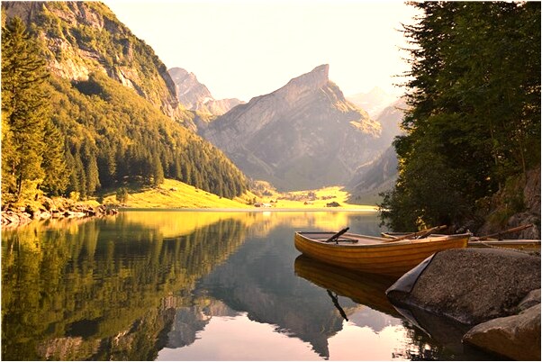 夢見自己和牛性交意味著什麼_周公解夢官網