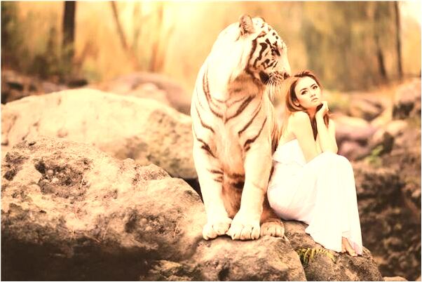 夢到了老公給情人錢是什麼兆頭_周公解夢官網