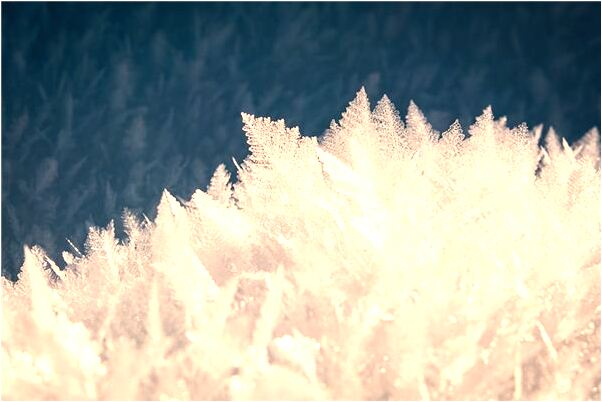 夢到了招聘女職工怎么樣_周公解夢官網