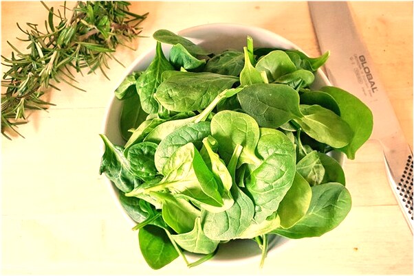 夢見撿到好多菌子是什麼意思_周公解夢官網