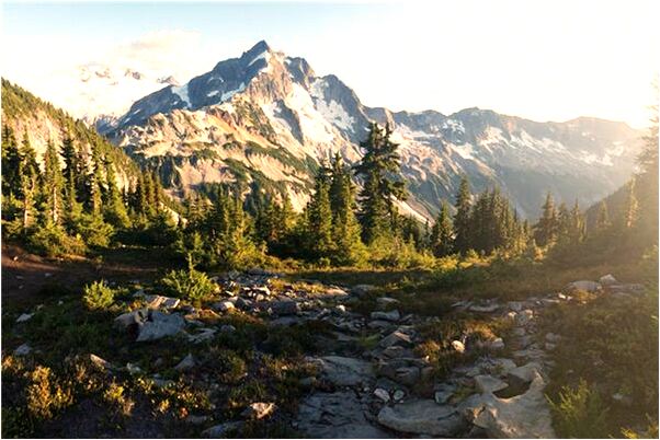 夢見找自己的眼鏡是怎么回事_周公解夢官網