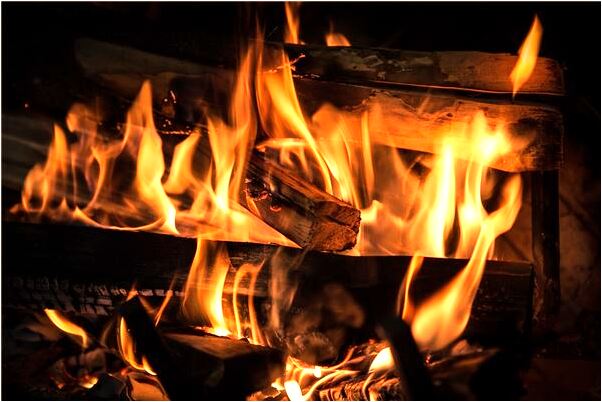 夢見產婦黑螞蟻在住房裡是什麼預兆?_周公解夢官網