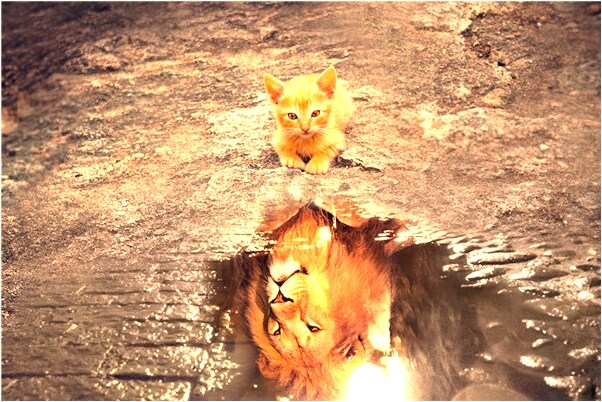 夢見買金戒指是不是好的徵兆呢_周公解夢官網