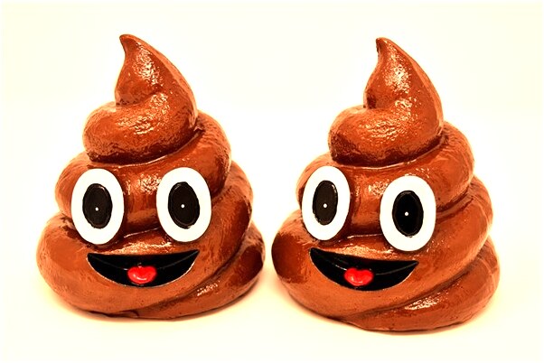 夢到了自己的房子很大預示什麼_周公解夢官網