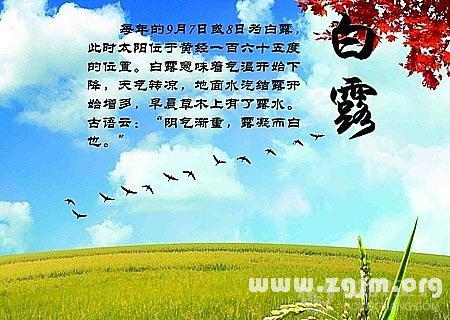 白露農諺165句